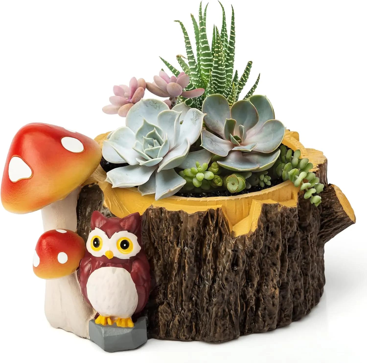 Vaso per Piante Grasse a Forma di Gufo con Drenaggio, Simpatico Vaso a Tronco d'Albero per Piante da Interno, Decorazione per Casa e Ufficio