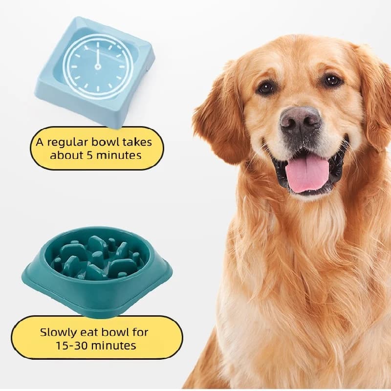 Ciotola per Cani di Taglia Media e Piccola, Ciotola Antiscivolo per Cuccioli, Ciotola Puzzle Anti-Ingozzamento per Alimentazione Lenta