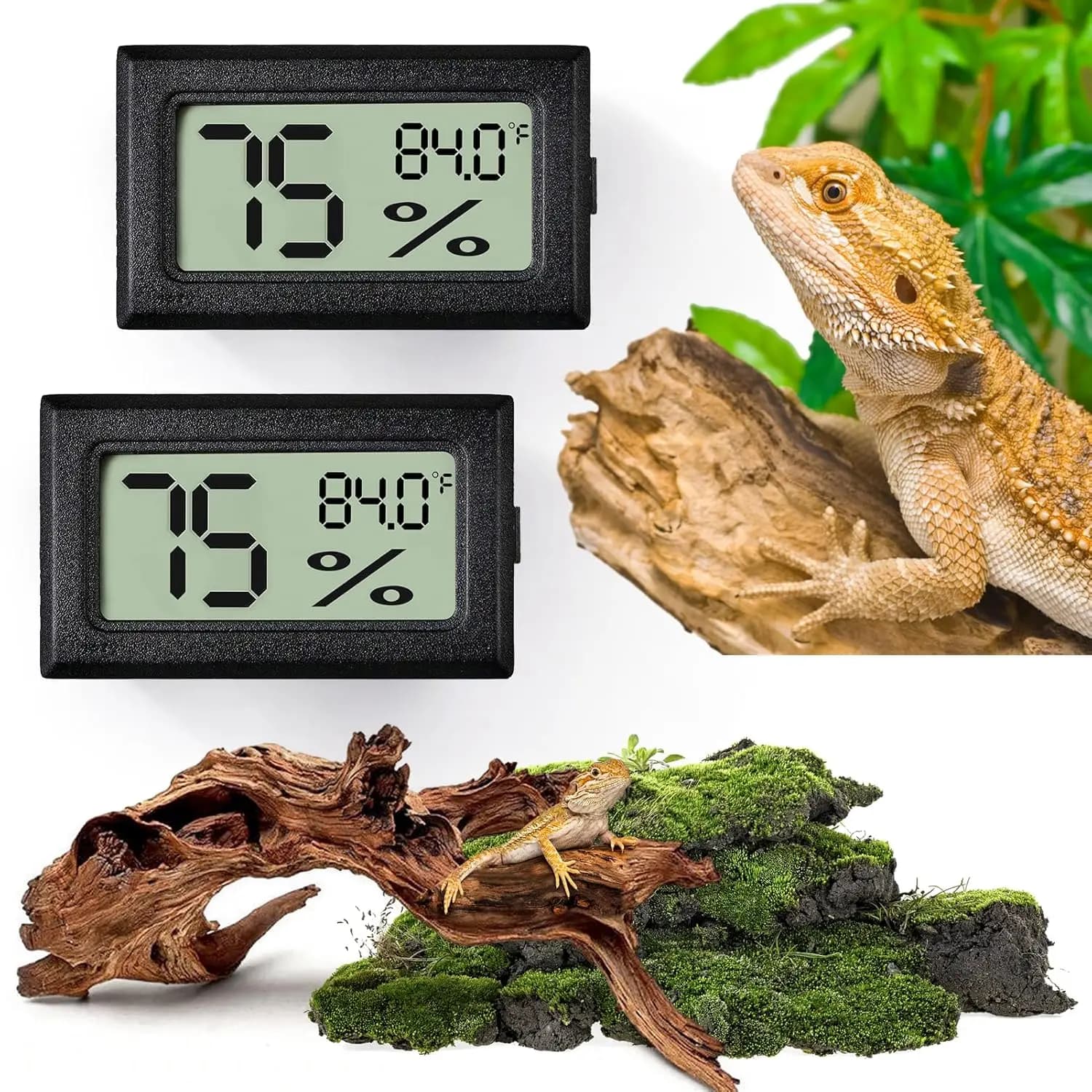 Set of 2 thermometers and 2-in-1 hygrometers for Reptiles — Terrarium tool for Reptiles and Amphibians