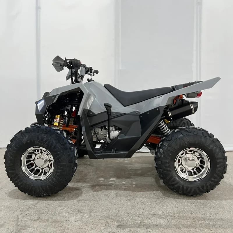 China High Quality 125cc Quad ATV New Product with Chain Drive Transmission 4WD Differential Lock Equipped