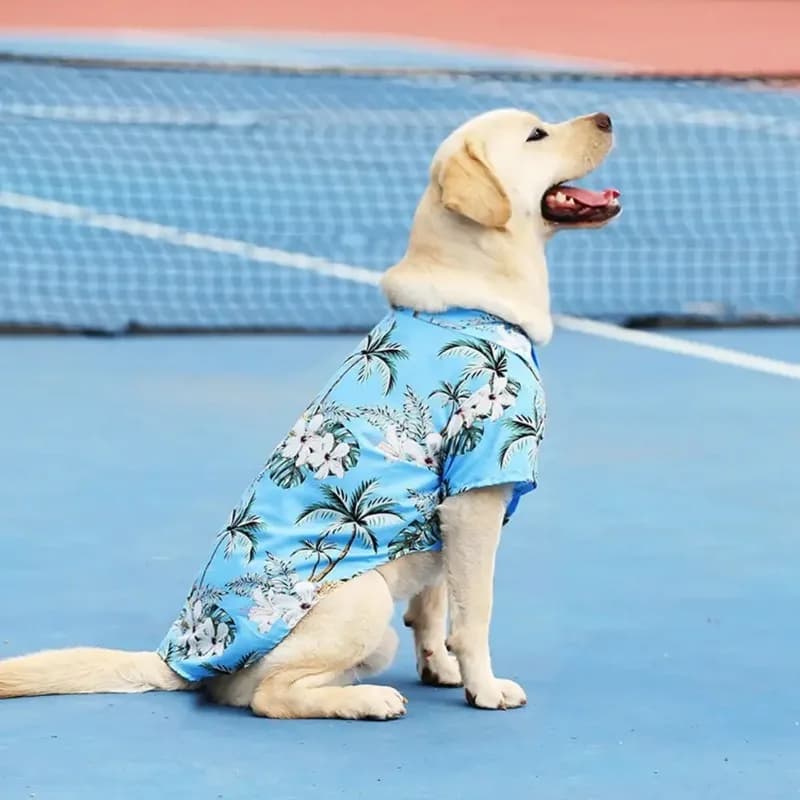 XL-5XL T-shirt estive carine stile Hawaii Camicia comoda per animali domestici per cani di taglia media e grande Vestiti per animali domestici Prodotti per animali domestici