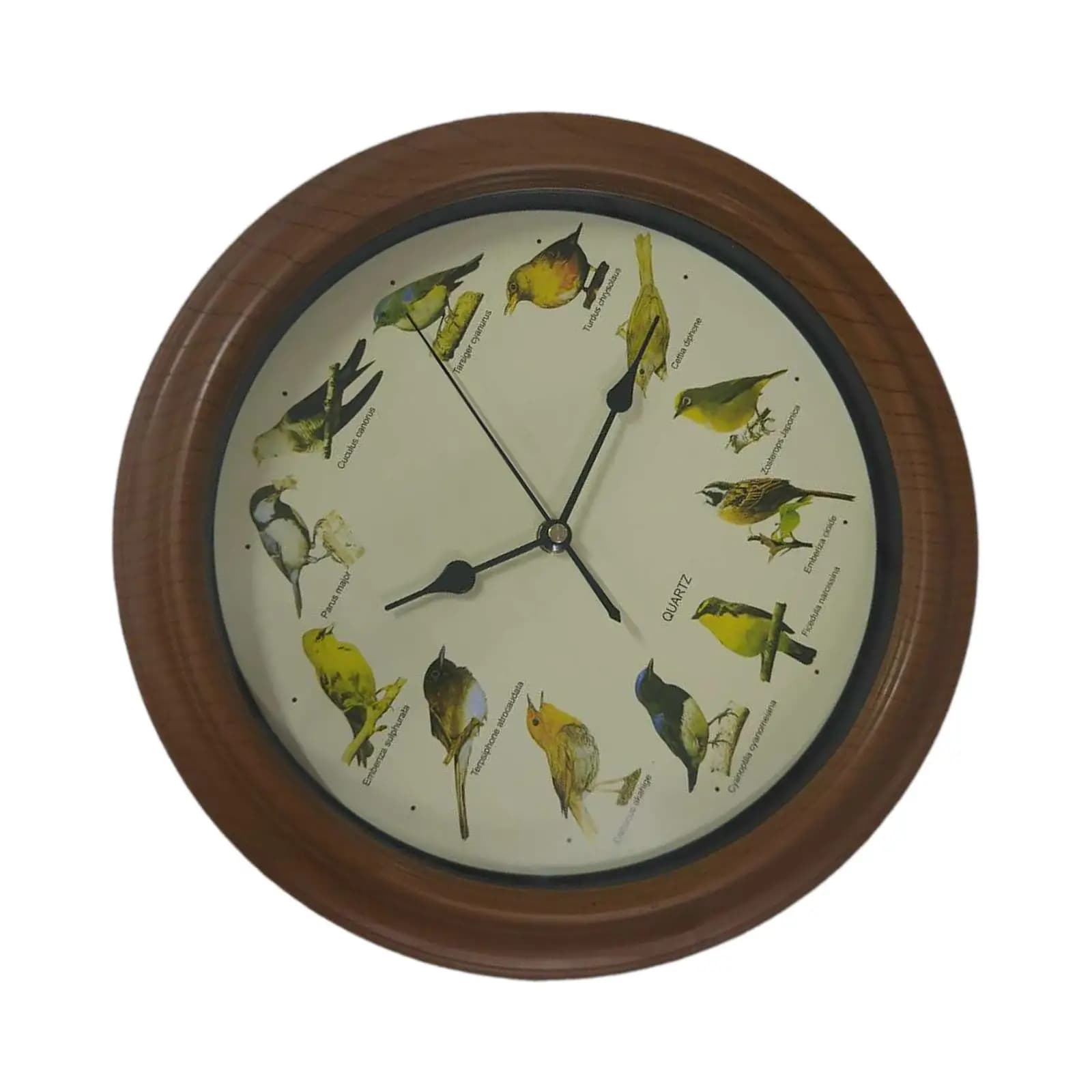 Orologio da Parete 10 Pollici con Canto di Uccelli, Elegante Orologio Resistente con Allarme Canto di Uccelli