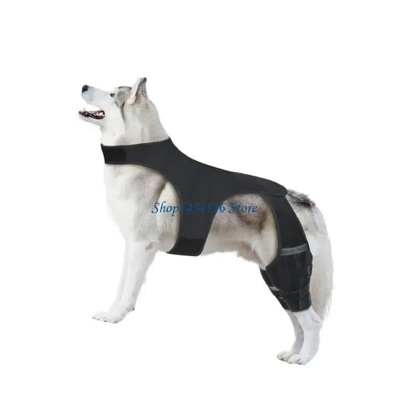 Ginocchiera per cani Protezioni per le articolazioni delle gambe posteriori Manicotto per le gambe in neoprene elastico con cintura regolabile per le articolazioni della salute dei cani anziani