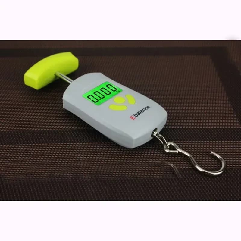 50kg x 10g Bilancia portatile Bilancia elettronica con gancio sospeso Mini bilancia digitale per bagagli da pesca Ponderazione da viaggio Steelyard