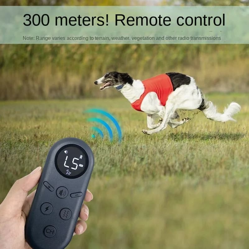 Collare di addestramento elettrico per cani Telecomando digitale ricaricabile Ip67 Accessorio per cani con vibrazione impermeabile adatto per cani