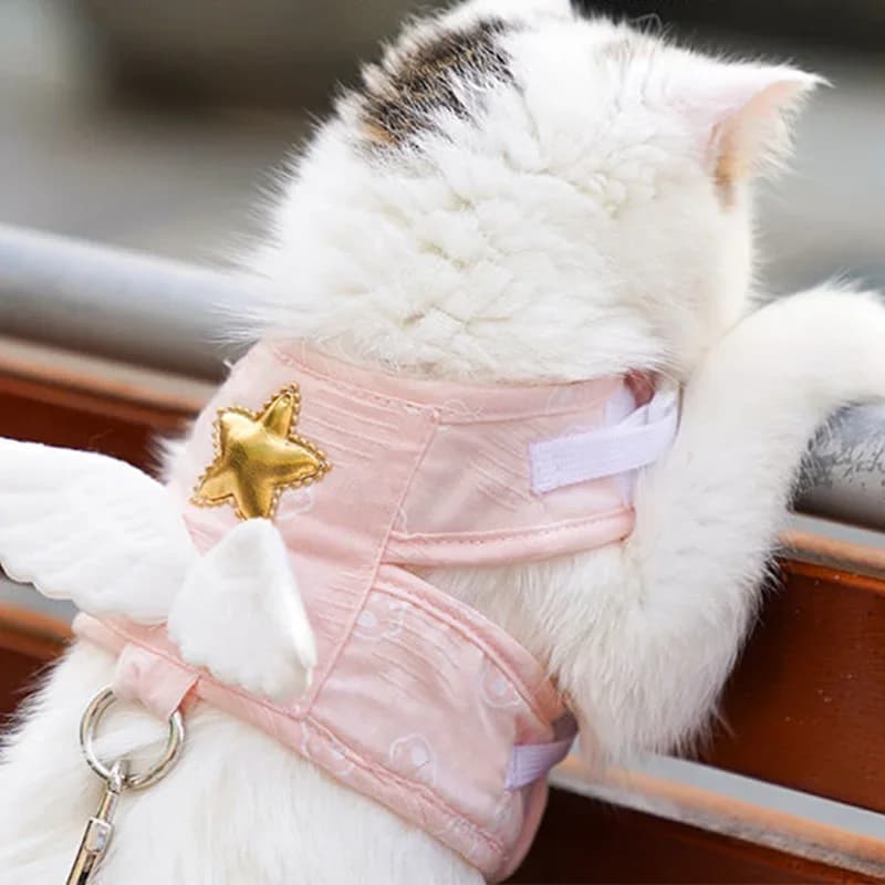 Pettorina a forma di ali d'angelo per gatti e cani, collare e guinzaglio, accessori per animali domestici, pettorina Kawaii per cani e gatti, forniture personalizzate
