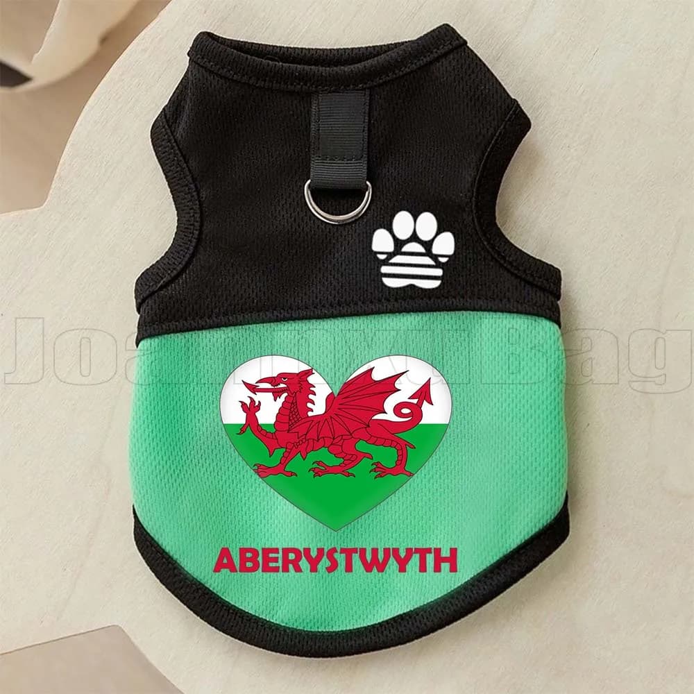 Pettorina per Animali Domestici Aberystwyth Wales Heart Flag con Guinzaglio e Anello a D, Gilet Traspirante in Rete per Cuccioli e Gattini, per Cani e Gatti da Esterno