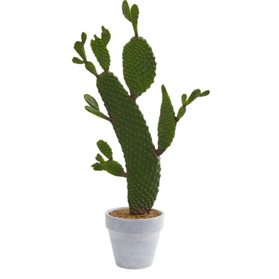 27" Plastic Polyester Cactus Artificial Plant Green