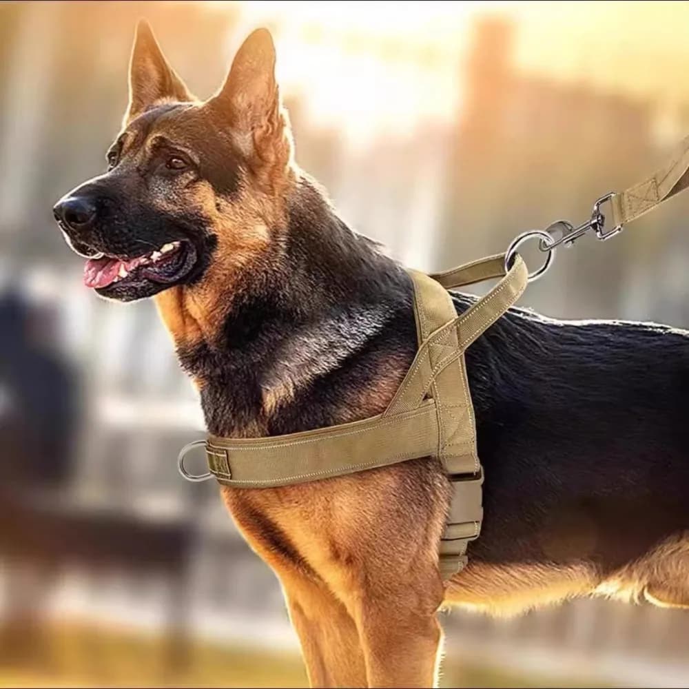Pettorina in Nylon per Cani Regolabile con Strisce Riflettenti, Resistente all'Usura e Antiesplosione