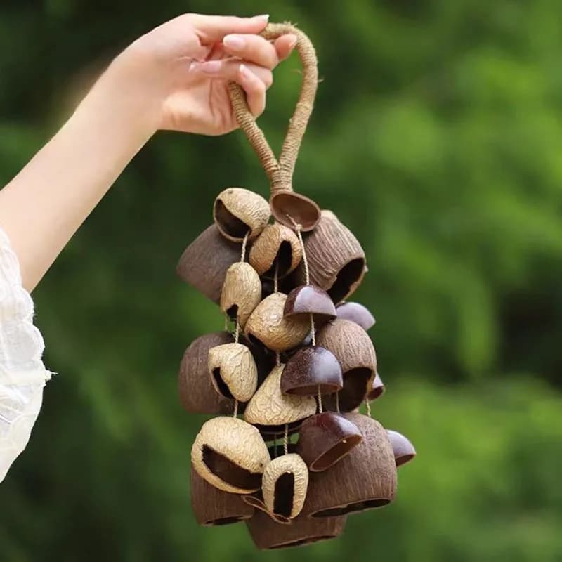 Handmade Natural Fruit Shell Bell Sound Healing Hanging Wind Chime Yoga Meditation Handbell Mindfulness Relaxation Wind Chimes