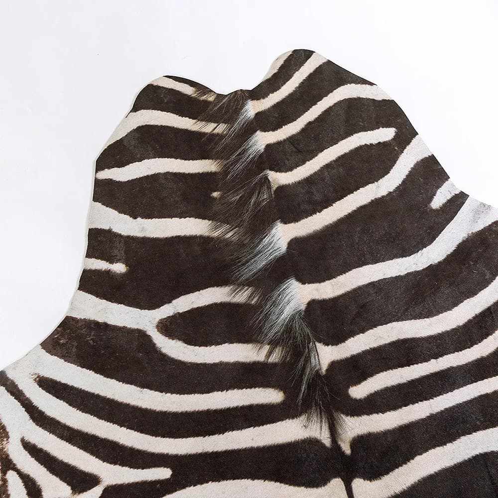 Non-Slip Zebra Print Pattern Area Rug Bohemian Style Living Room Carpet Soft Floor Mat for Bedroom Interior Decor