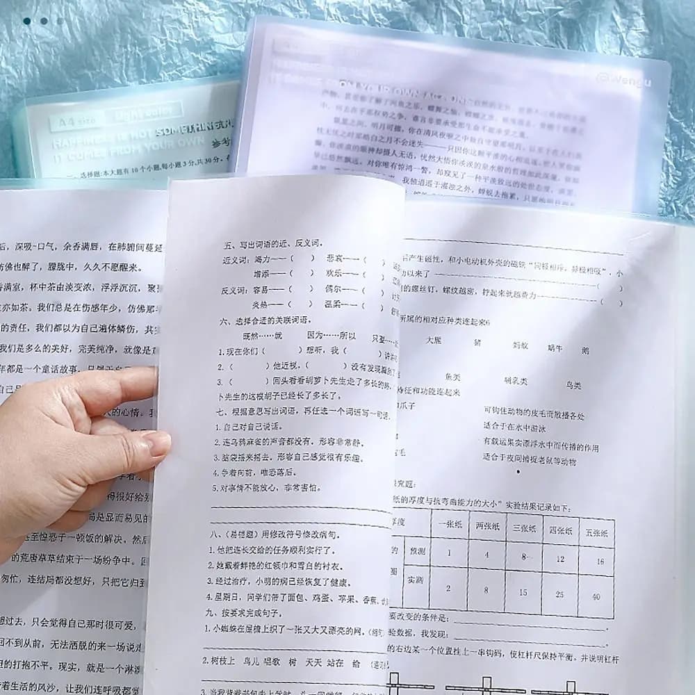 Cartella di file A4 portatile da 20 pagine Borsa di stoccaggio per carta di prova verticale impermeabile di grande capacità per studenti
