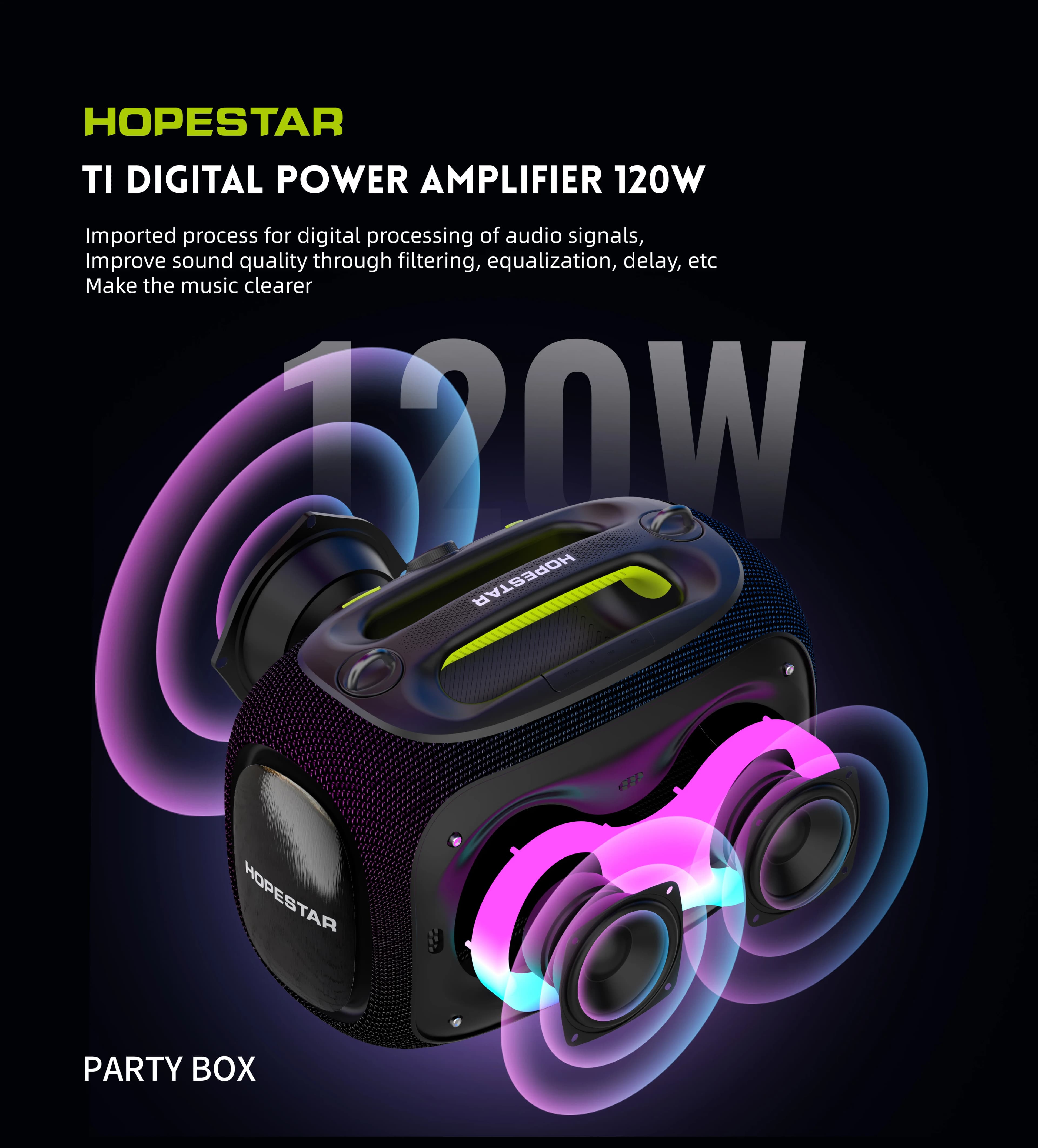 HOPE STAR PARTYBOX 120W Altoparlante Karaoke Portatile con 2 Microfoni Wireless e Luci LED, Supporta AUX/USB/TF per Feste in Casa