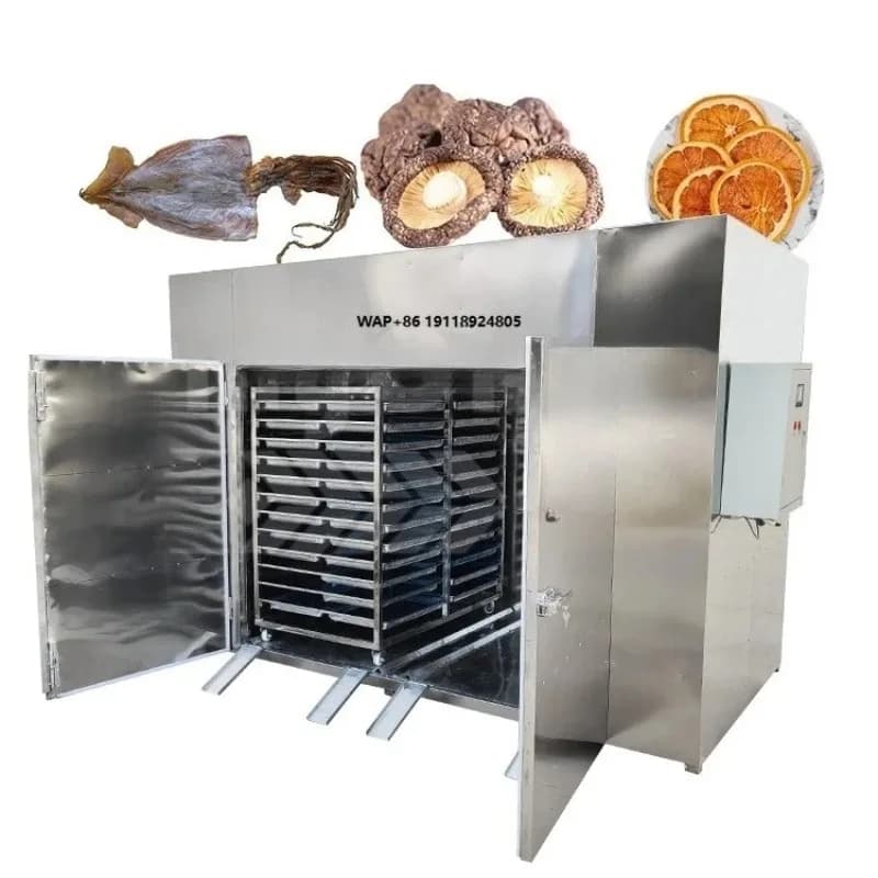 Essiccatore ad Aria per Alimenti MY, Macchina per Essiccare Pesce e Acciughe Alimentata a Gas con Deumidificatore