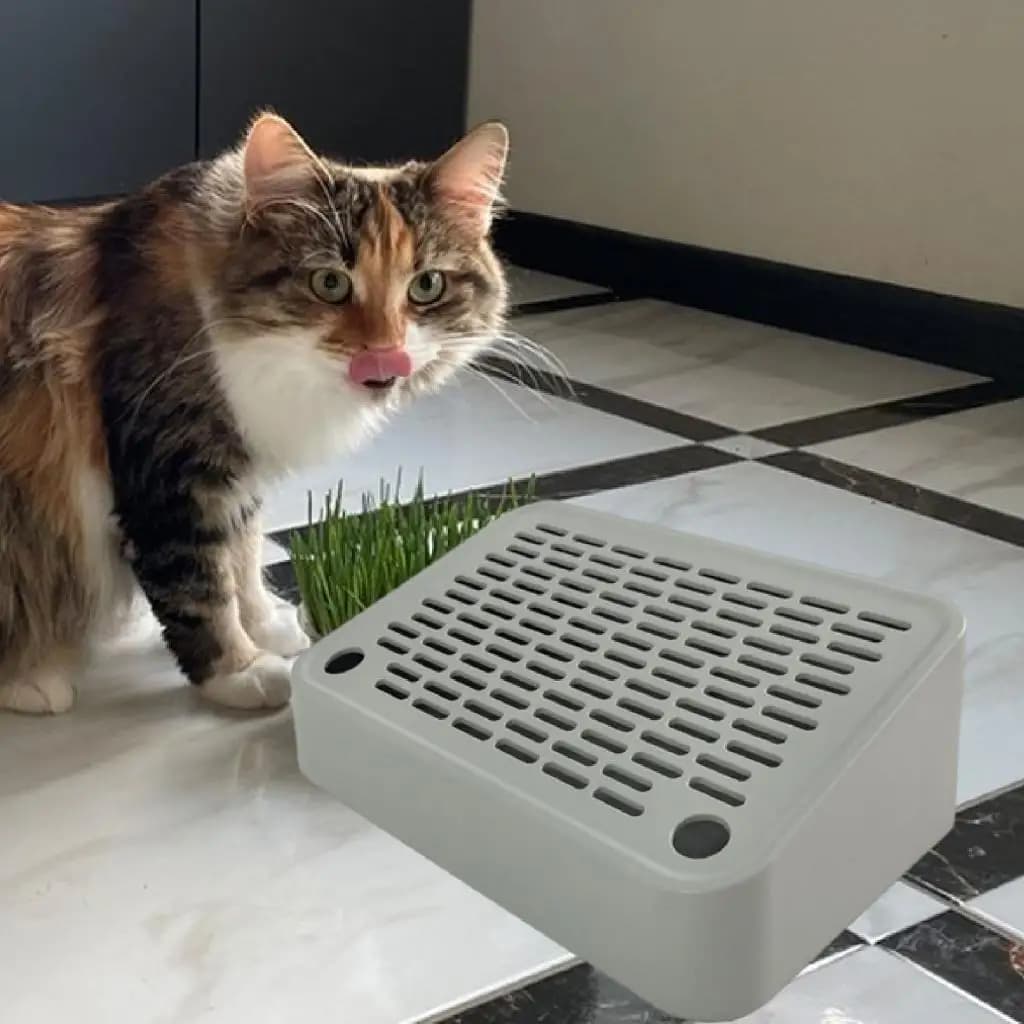 Pedana per lettiera per gatti per gattini e gatti anziani Facile pulizia Camera da letto Accessori essenziali Piccola lettiera per gatti Tappetino per gradini