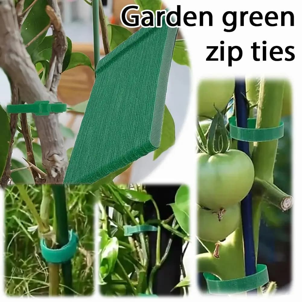 Fascette stringicavo verdi da giardino resistenti ai raggi UV, regolabili, con gancio e anello per il supporto e il fissaggio di piante da giardino e orticoltura