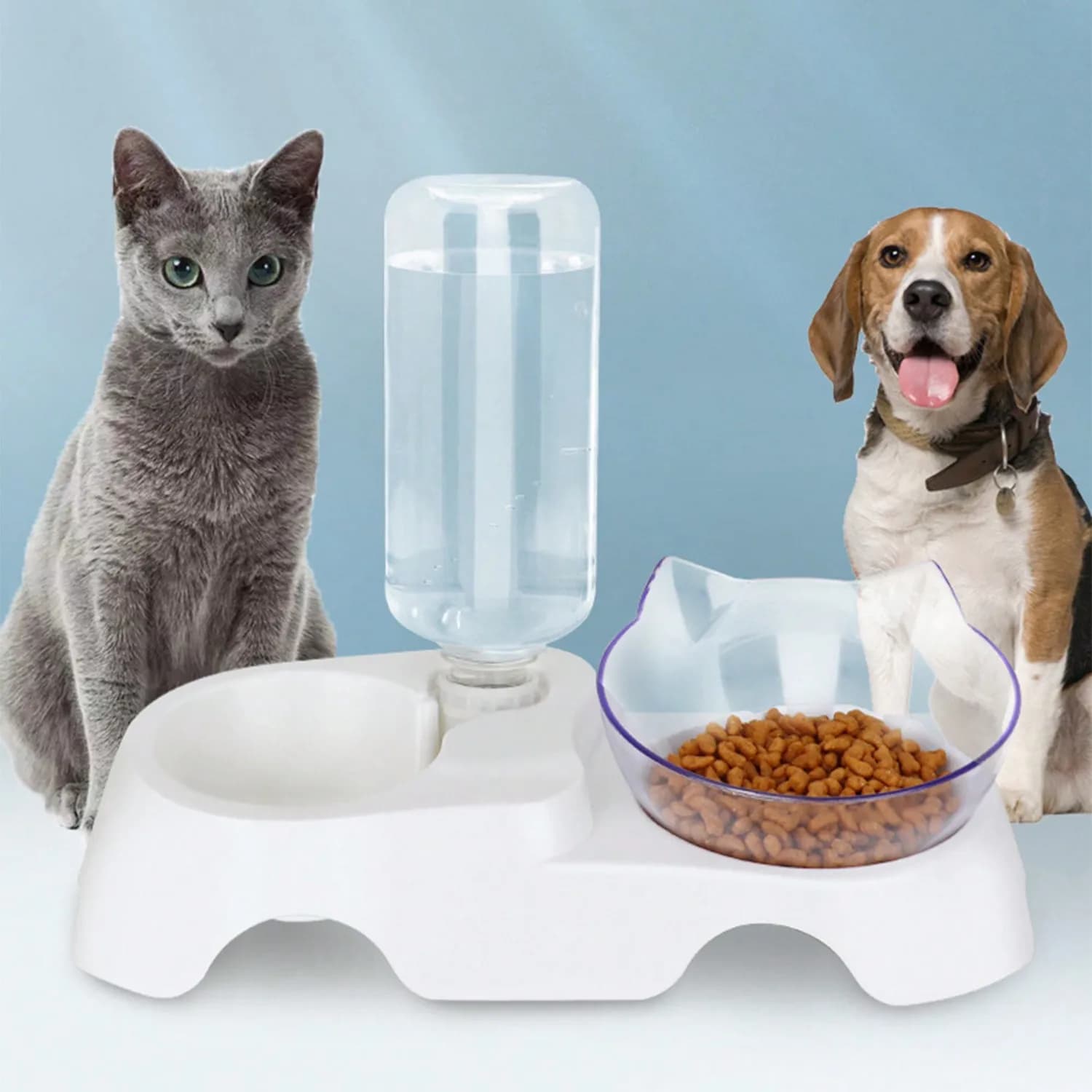 Ciotole per cani e gatti da 1 pezzo - Set di ciotole per acqua e cibo per animali domestici, 15 ° Set di ciotole per acqua e cibo inclinate con bottiglia per acqua automatica