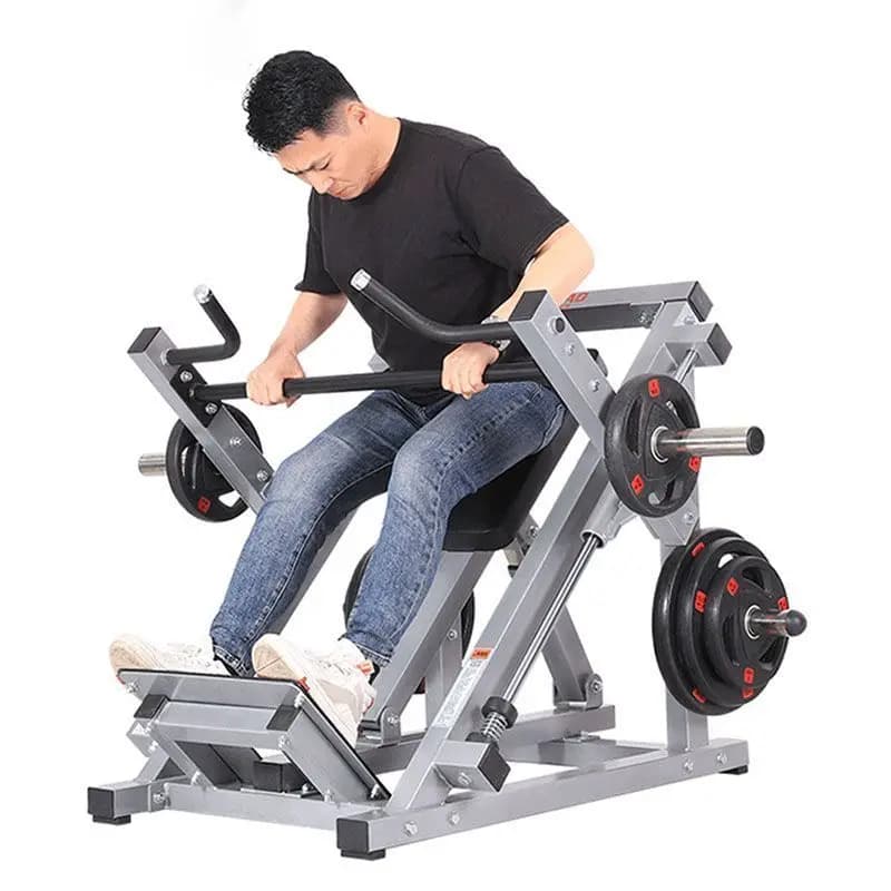 Fold down, pull back, rowing, standing posture, including 100 kg weight plates Complete training device for back strength