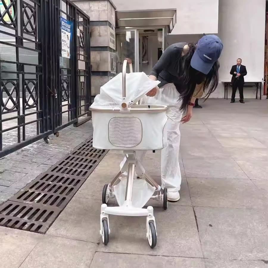 Passeggini per cani all'ingrosso Carrello per animali domestici Passeggino per animali domestici Passeggino per animali di lusso pieghevole automatico