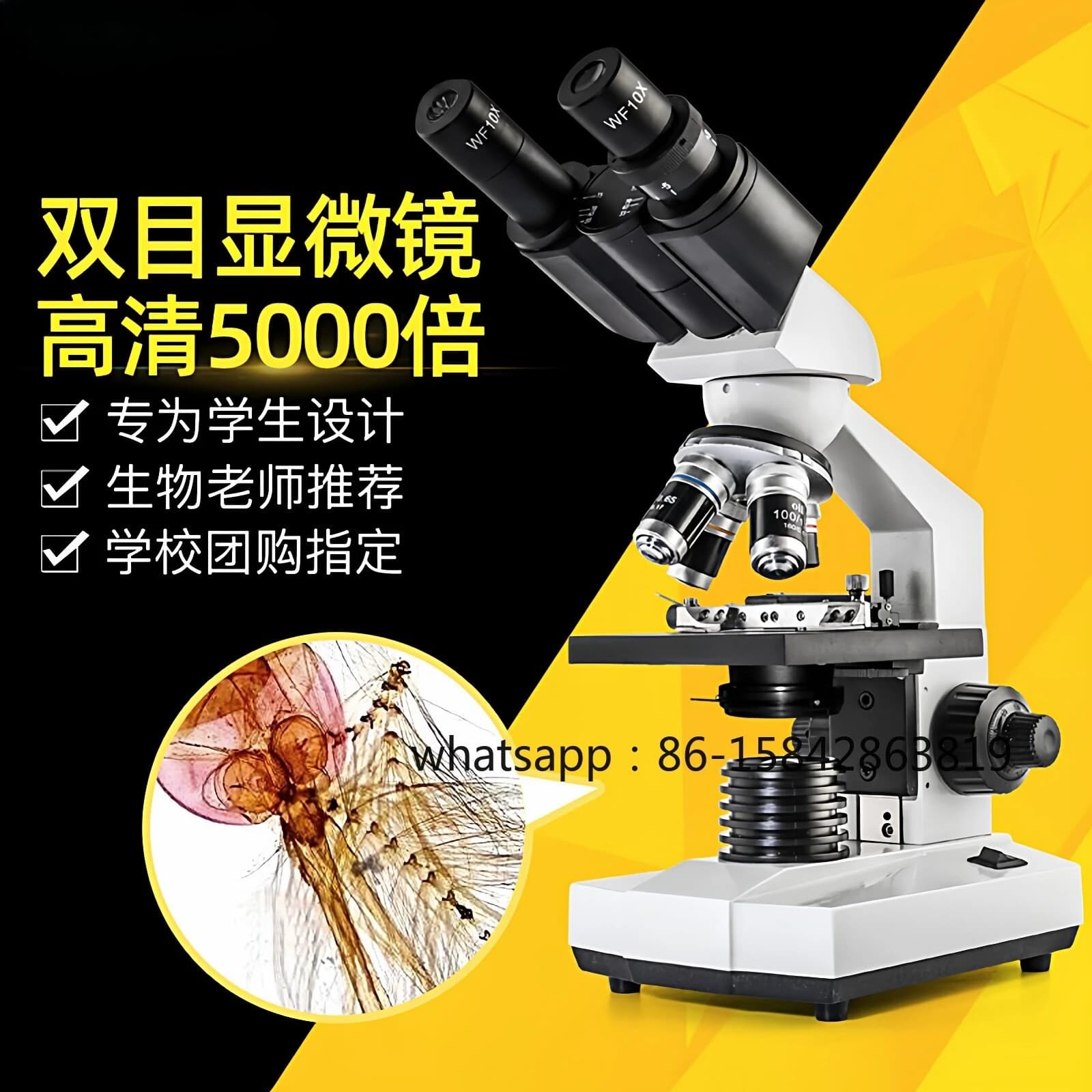 Microscopio professionale per uso domestico con ingrandimento 10.000x per osservare spermatozoi ed essenza spermatica ad alto ingrandimento per uso medico