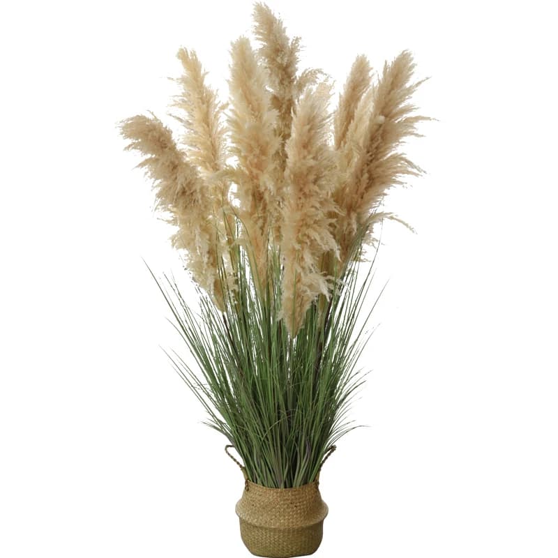 Pampas naturali in vaso, fiori secchi, ornamenti decorativi paesaggistici per interni
