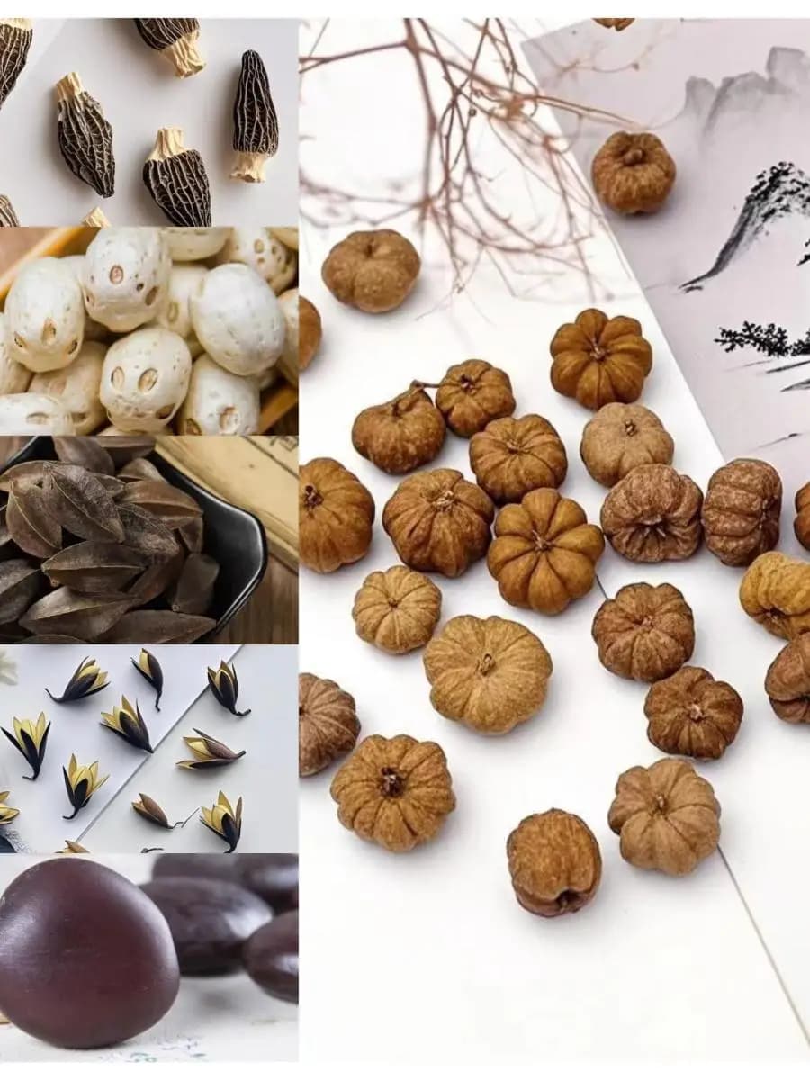 Fermaglio per capelli con cornice a tema piante e frutta, Materiale per fai da te con frutta, Esemplare vegetale, Fiore essiccato per asilo, Decorazione creativa per la casa Hanrt