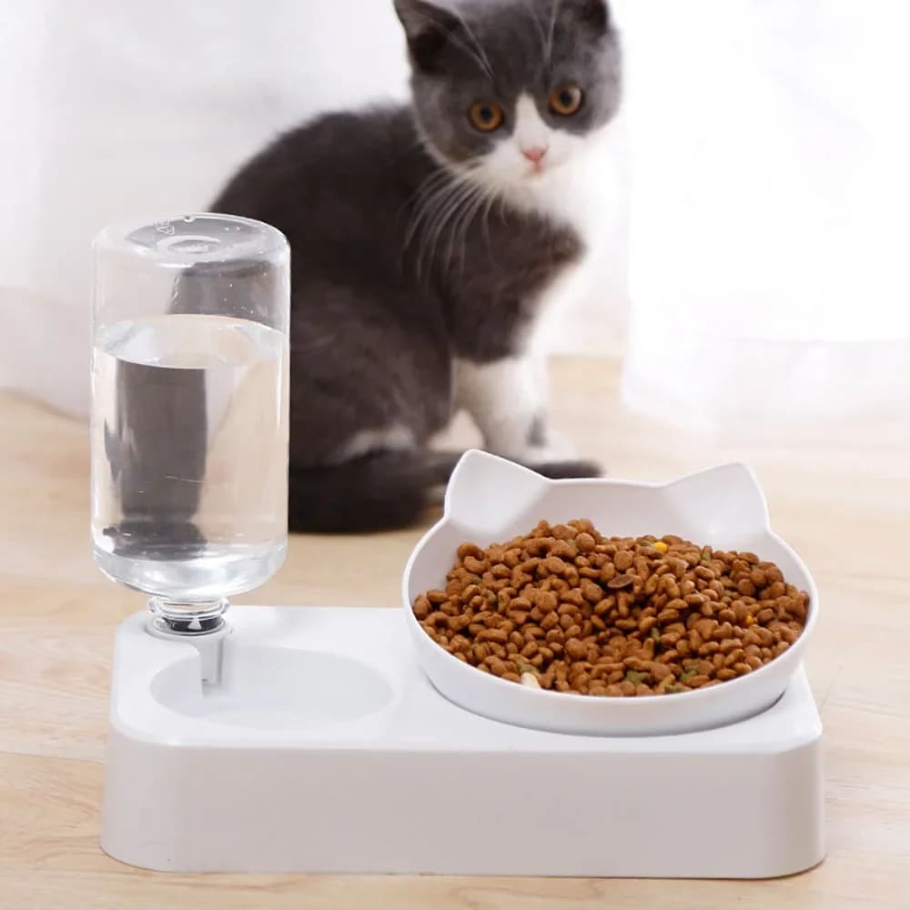 Ciotola per animali domestici Alimentatore automatico Ciotola per cibo per cani e gatti con distributore d'acqua Doppia ciotola per bere Ciotole rialzate con supporto rialzato con forniture per animali domestici