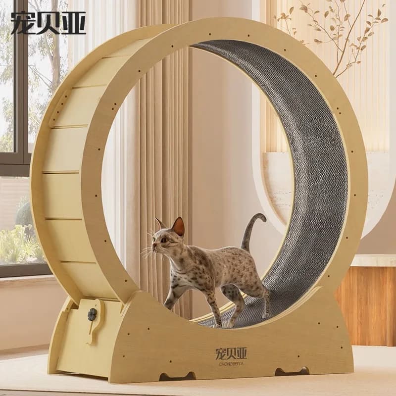 Chongbeiya In Stock Cat Mute Treadmill Solid Wood Exercise Roller Toy Scratching Pad Safe Simple Installation For Indoor Cats