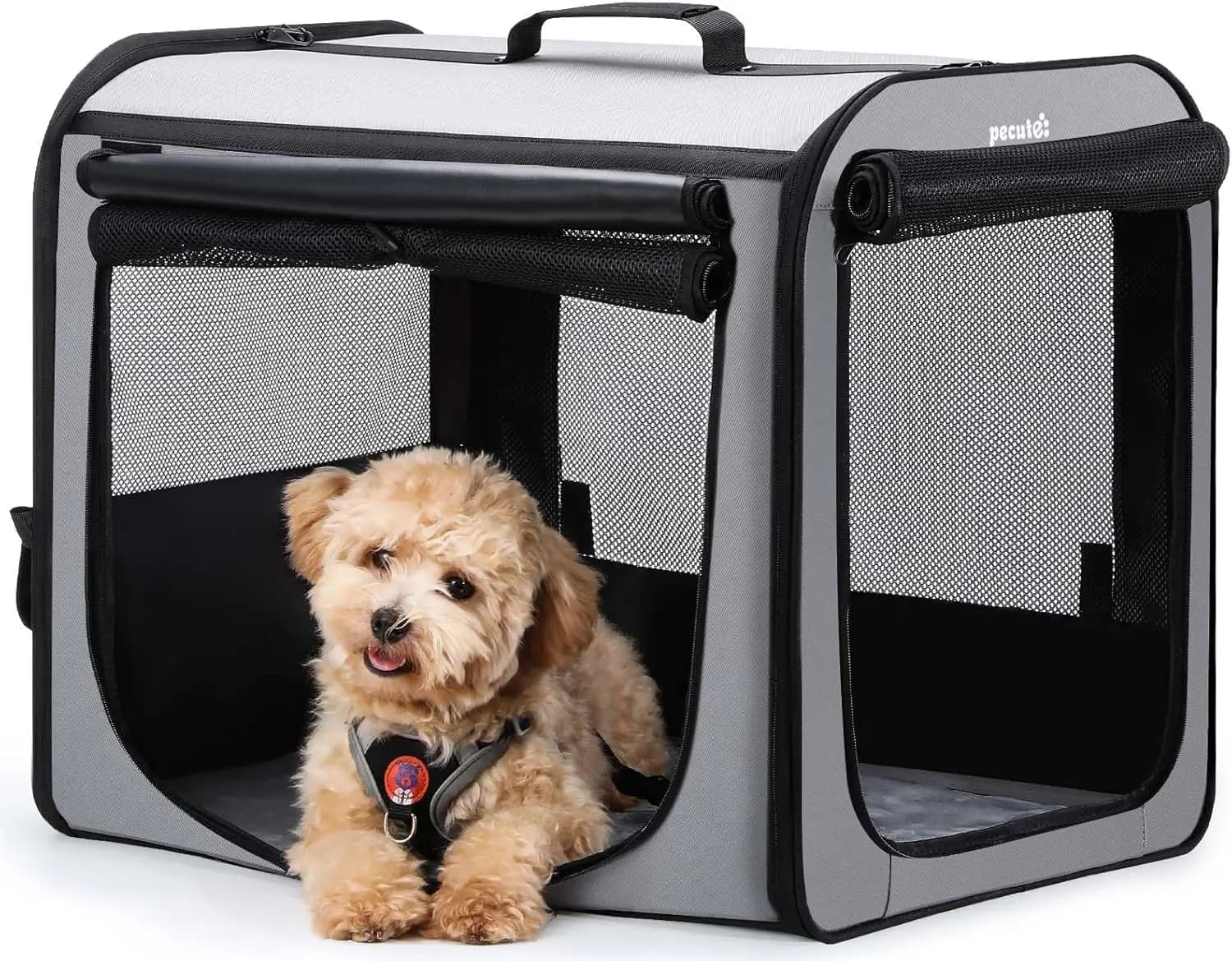 Trasportino per Cani Leggero e Pieghevole, Gabbia Portatile per Animali Domestici per Viaggi in Auto, Uso Interno ed Esterno con Design Traspirante