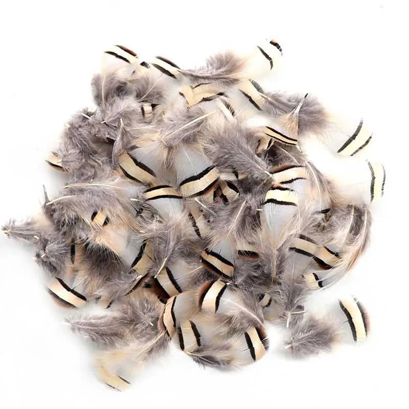 200Pcs Chukar Partridge Hen Feathers, 3-7cm Natural Feathers for DIY Handmade Accessories, Dream Catcher & Handicrafts
