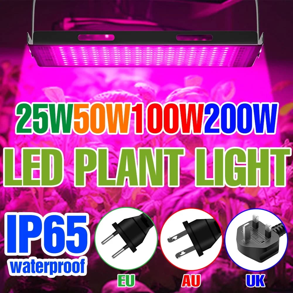 Indoor 200W Spectrum Indoor Cultivation Lamp, Hydroponic Plant Lighting, Serre and Growth Curtains