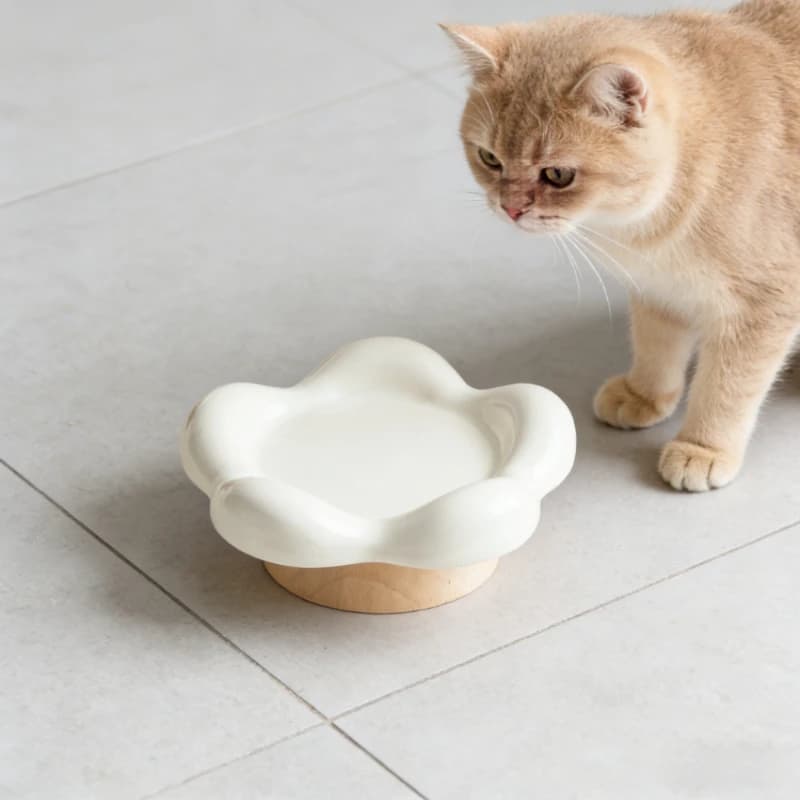 Ciotola in ceramica per la protezione delle vertebre cervicali, ciotole per cibo per gatti, piatto stabile, durevole, facile da pulire, pratico accessorio per l'alimentazione degli animali domestici