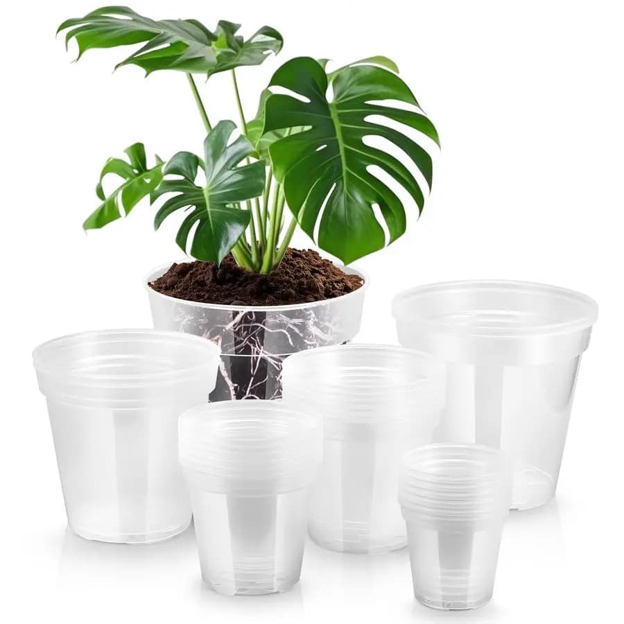 Set of 24 Transparent Vases of Various Sizes (4, 5, 6, 7, 8, 9 Inches) with Holes for Internal Plants