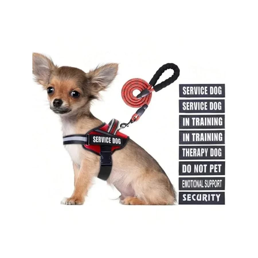 Vest Harness And Leash Set, Animire In Training Dog Harness With 10 Dog Patches, Reflective Dog Leash With Soft Padded Handle S