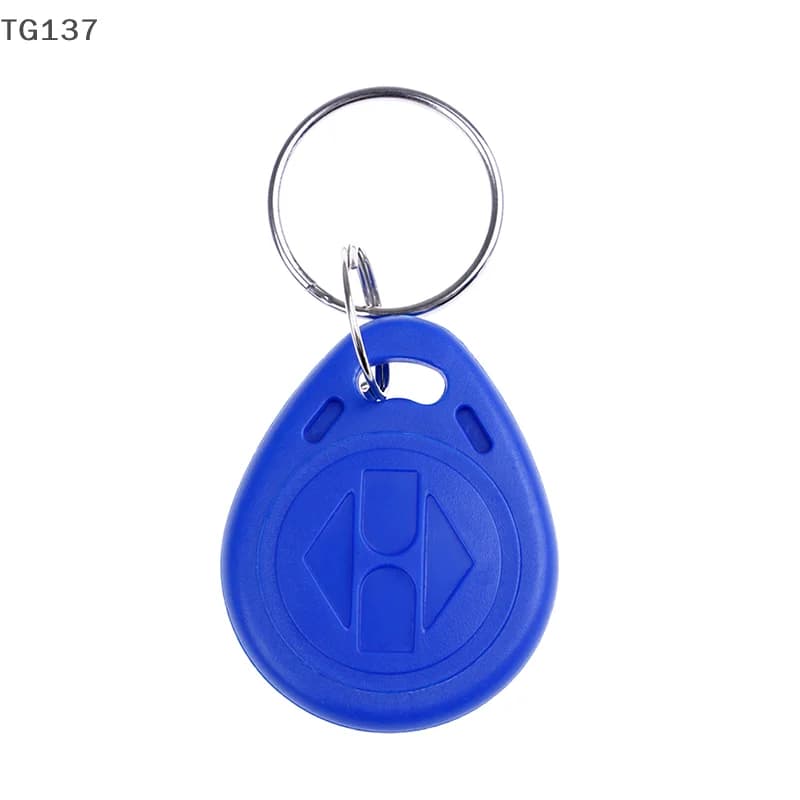 10 pezzi TK4100 portachiavi 125KHZ RFID carta d'identità di prossimità tag gettoni portachiavi NFC