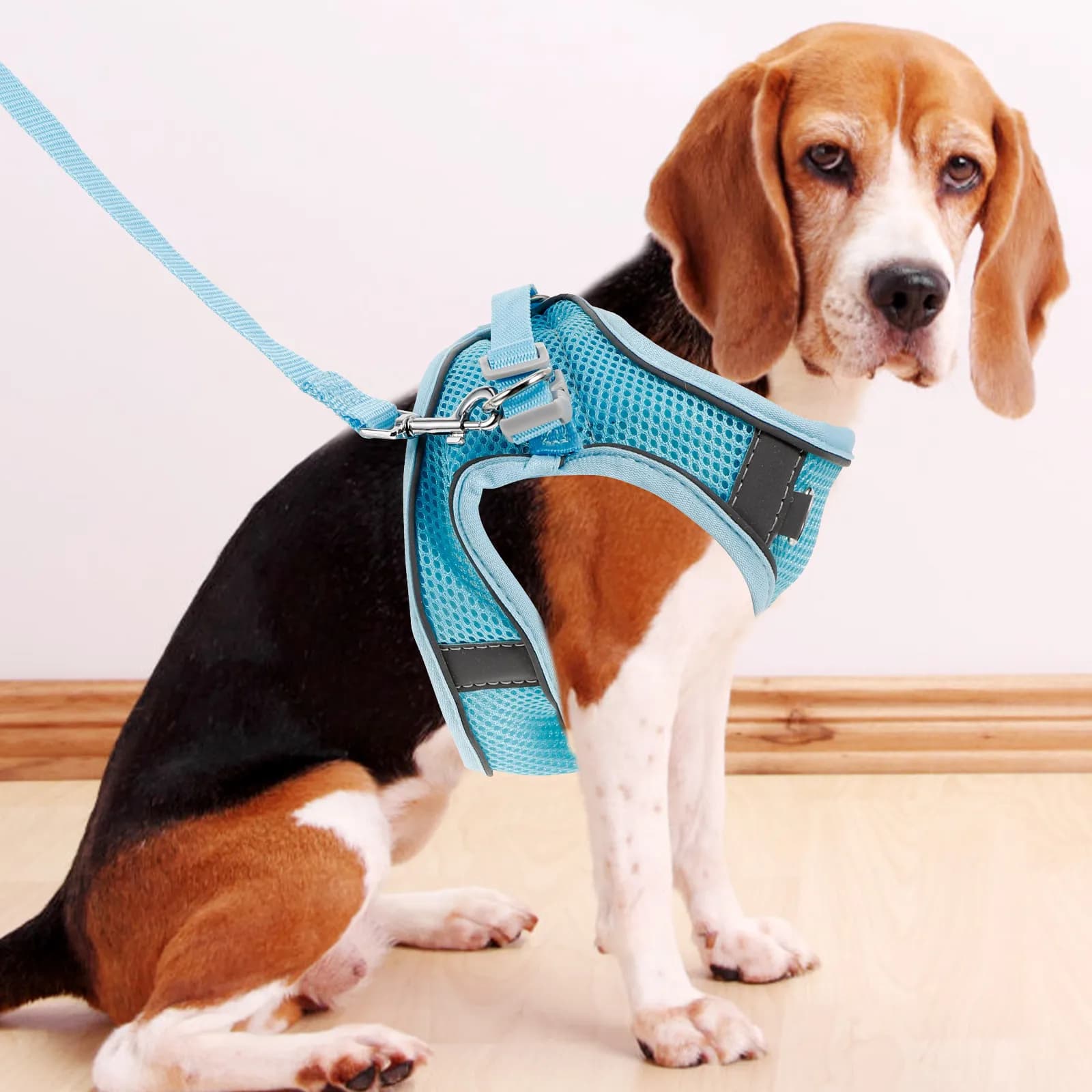 1Set Pet Harness for Dogs Reflective Trim All Season Comfort Fit Adjustable Chest Back Straps Night Time Walking Running Hiking