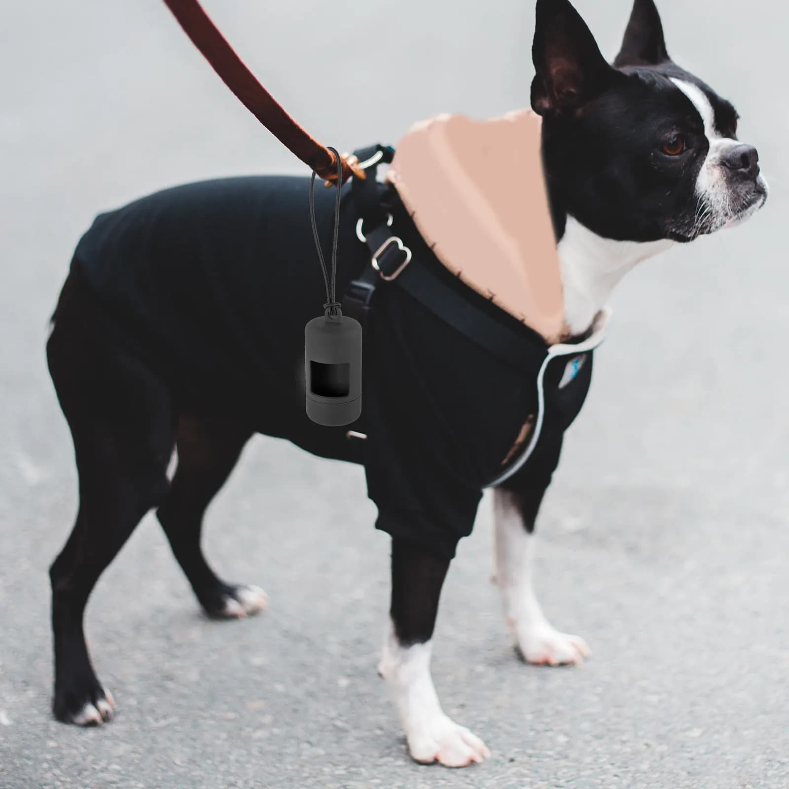Dispenser Professionale Portatile per Sacchetti per Escrementi di Cani, Leggero e Compatto, per Passeggiate e Viaggi all'Aperto, Accessorio per Animali Domestici