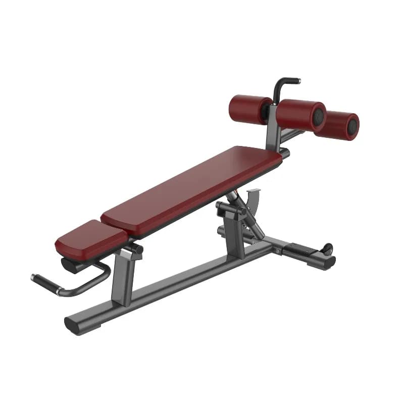 Nuovo Design Panca Multifunzionale per Palestra e Fitness, Regolabile per Allenamento con Pesi e Manubri