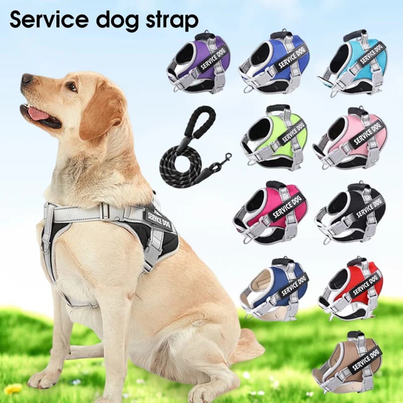 Service Dog Vest Slinging No Pull Hook for Dogs Suitable Dog Vest Large Dog Vest Dog Walking Wheel Control Dog Strap Accessories Prevent Loss