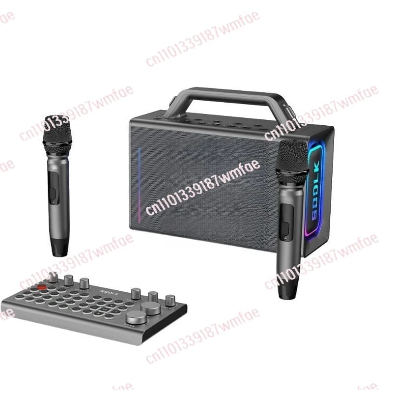 S1116 Altoparlante Portatile Wireless da 200 Watt con 2 Microfoni Wireless per Karaoke e Palcoscenico all'Aperto