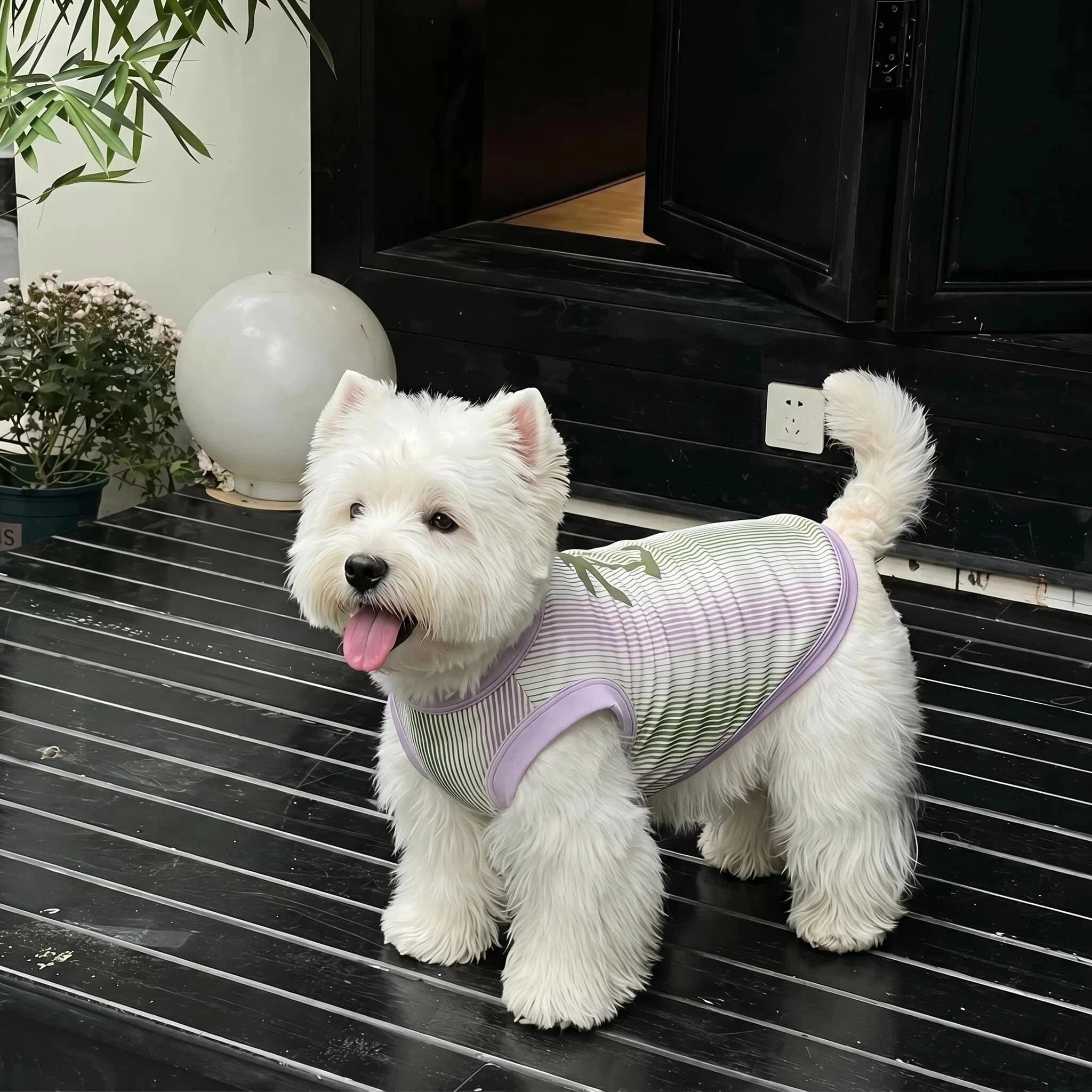 Gradient Stripe Coconut Tree Print Dog Sleeveless Tank Top Viral Summer Cooling Pet Clothes Beach Walking Daily Shoot Bichon Wes