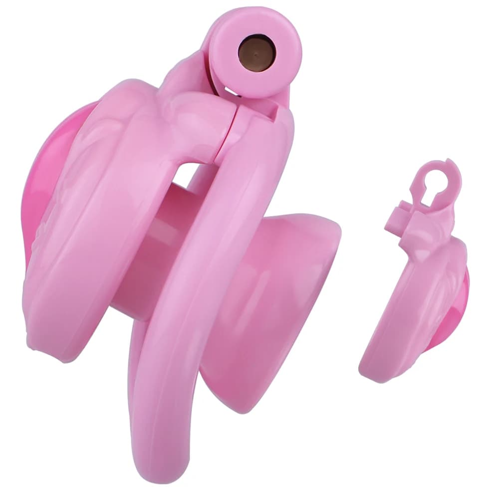 Gabbia di castità FRKO Inverted Sissy con 4 misure di anelli per il pene, gabbie per clitoride e labbra, cintura bondage SM, giocattolo per l'astinenza maschile