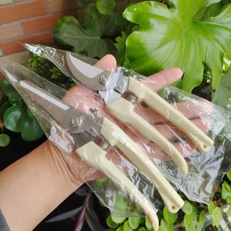 Forbici da Potatura in Acciaio Inossidabile per Giardinaggio, Composizioni Floreali, Taglio Rami di Alberi da Frutto, Strumento per Innesto