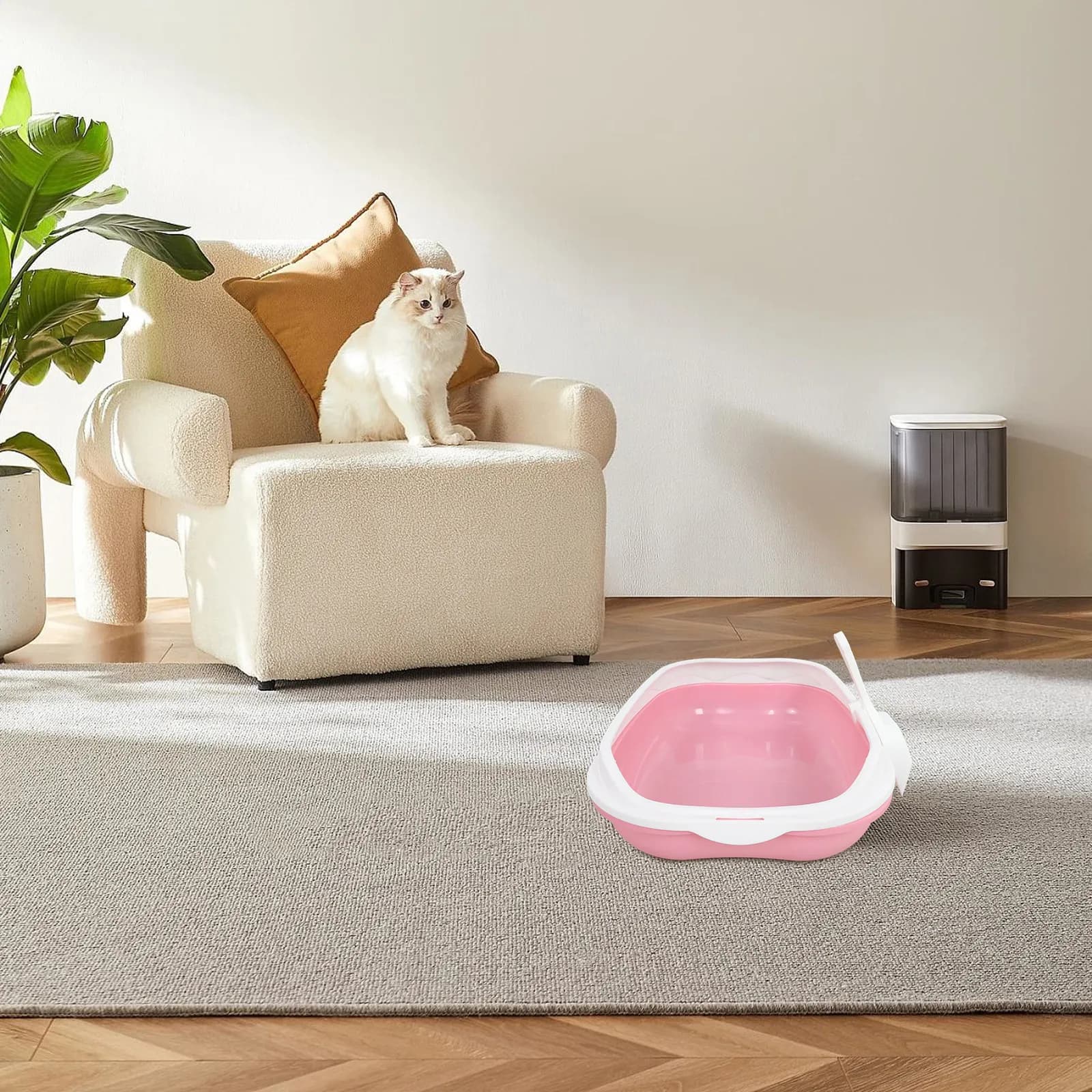 Set Lettiera per Gatti Semi-Chiusa Anti-Schizzi con Parte Superiore Aperta, Ingresso Basso e Vassoio Rimovibile in Plastica per Gattini - Vasca per la Pulizia