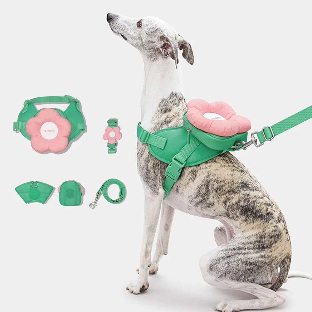 Pettorina per cani anti-pull con fiori dolci per piccoli supporti Cintura pettorale per cani levriero italiano di grandi dimensioni a prova di fuga per Whippet