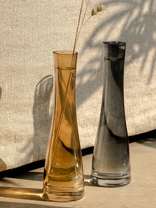 Vaso Moderno in Vetro Opaco, Piccolo Vaso per Fiori, Trasparente per Coltivazione in Acqua, Bottiglia per Fiore Singolo, Semplice Vaso Sottile Stile Ins