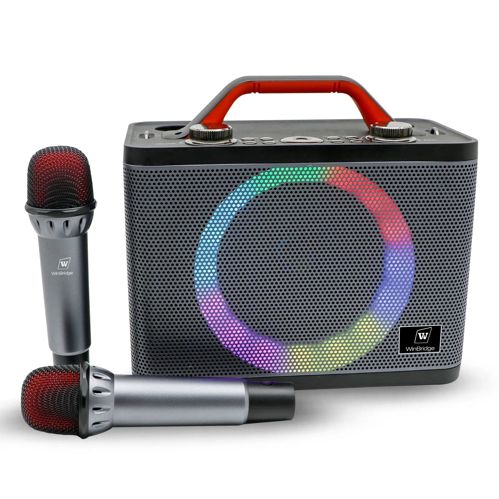 Macchina per karaoke con due microfoni wireless, sistema di canto per adulti e bambini
