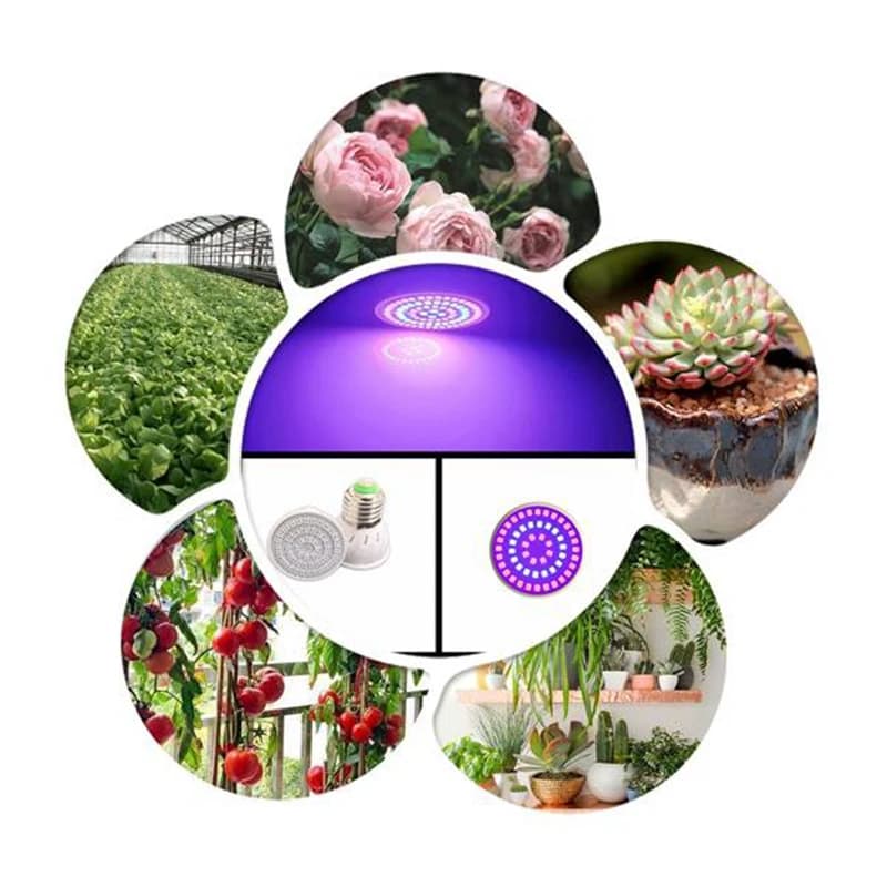 Lamp for plant growth CMHI-Led Perline Full spectrum plant growth lamp, for organic plants with hydroponic seeds of flowers 8 pieces