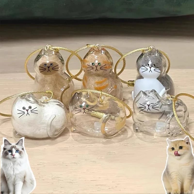 Zaino con ciondolo portachiavi con gatto allo zenzero con scatola portaoggetti per capelli, borsa per toelettatura per animali domestici, regalo souvenir per gli amanti dei gatti