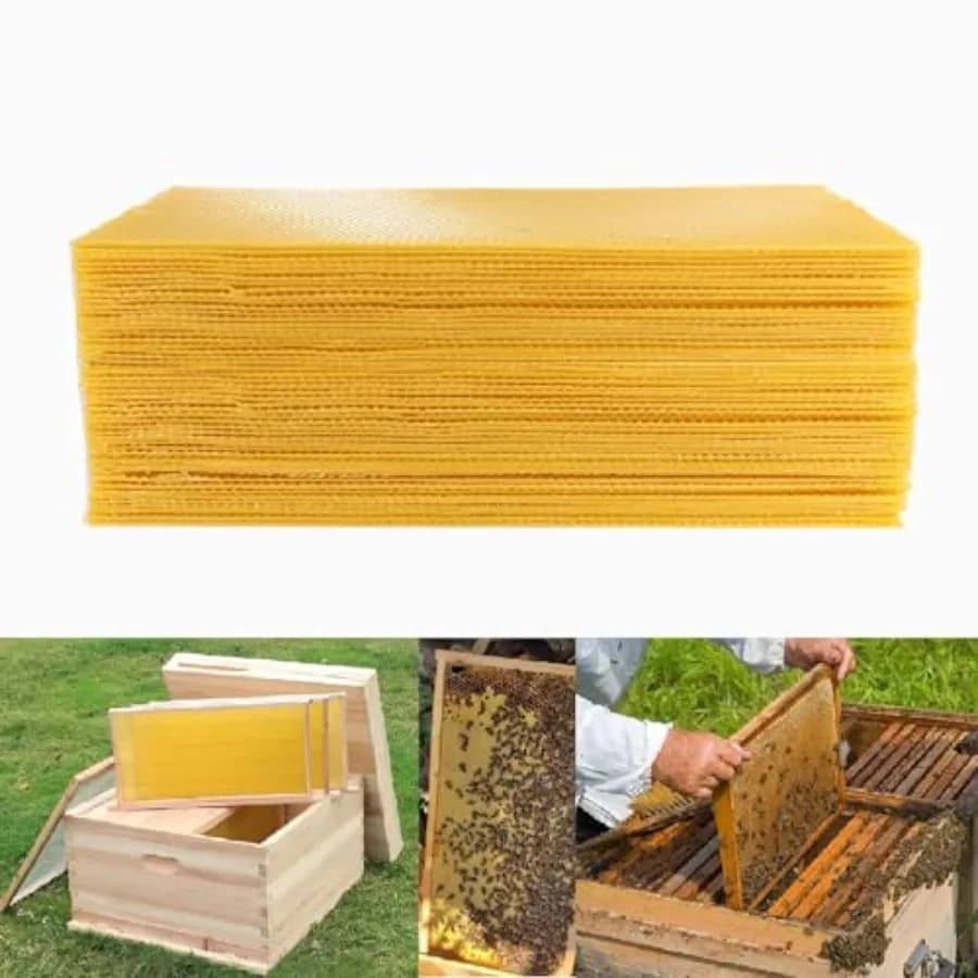 60 Fogli di Fondamenta in Cera d'Api per Arnia, 9 Pollici, per Arnia Langstroth, Fogli Profondi per Telaini Apistici
